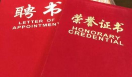 贵州民生爆料新闻最新,聚焦民生热点，揭示社会现象